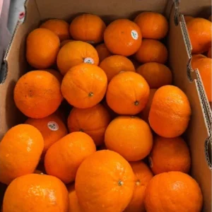 Oranges