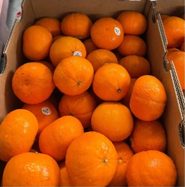 Oranges