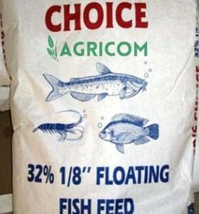 fish-feed