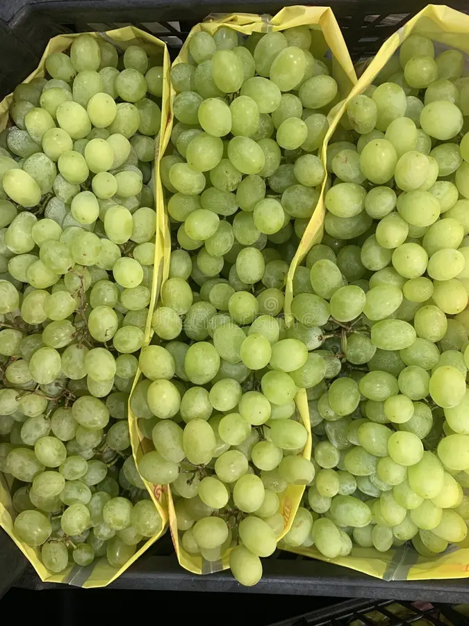 Grapes