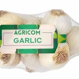 Garlic