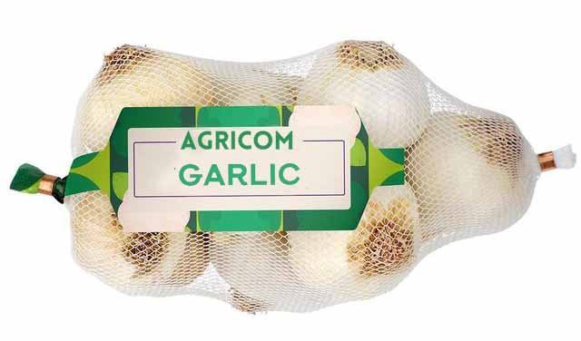 Garlic