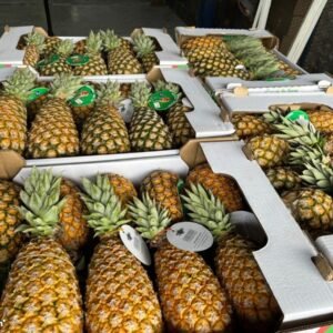 wholesale pineapple