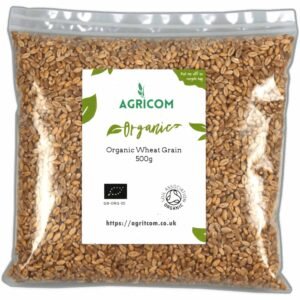 Wheat and Wheat Grains